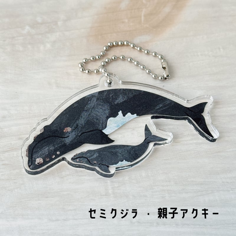 クジラ・イルカ親子アクキー | クジラの雑貨屋さん