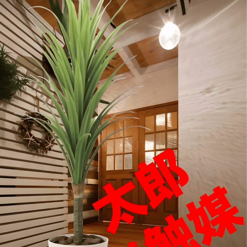 光触媒 人工観葉植物 フェイクグリーン ドラセナ 高さ 1.8m | 太郎's STORE