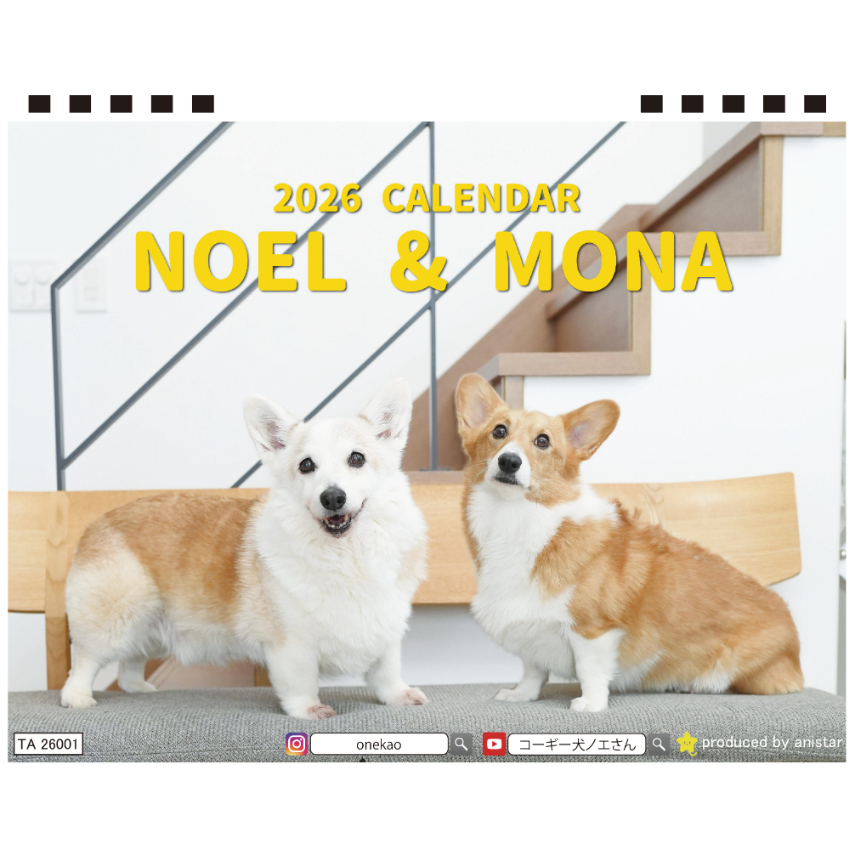 予約販売】 ノエル&モナ コーギー 犬 2026年 卓上全面 カレンダー