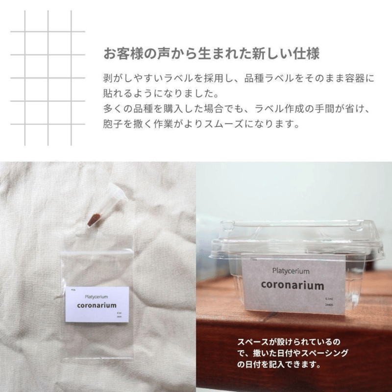 ビカクシダ胞子培養 エントリーセット ＜コラボver.＞ | IMAMA