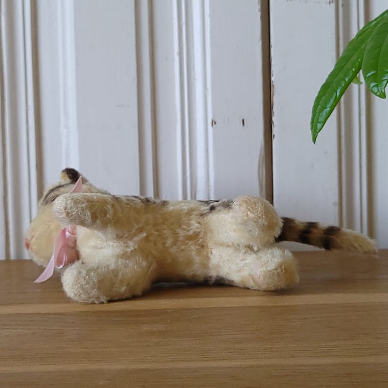 シュタイフ ネコのTabby小 | リボンときどきネコ
