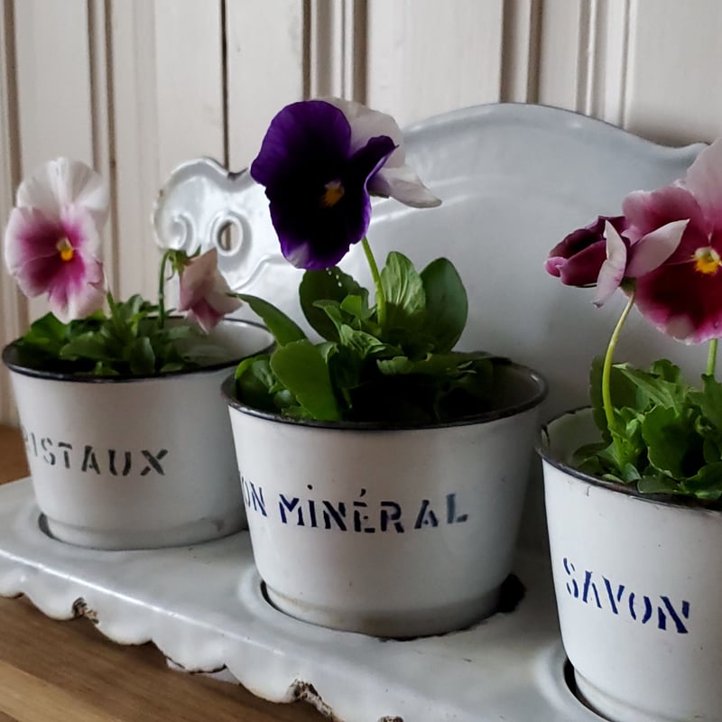 スカラップがかわいいホーローサボンラック | リボンときどきネコ