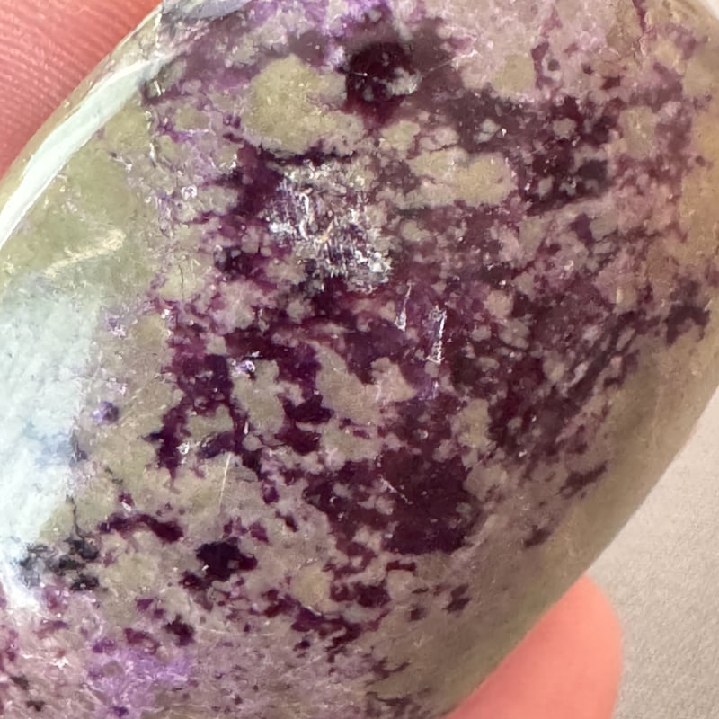 アトランティスの目覚め 真実を導くアトランティサイト | Studio Kururi