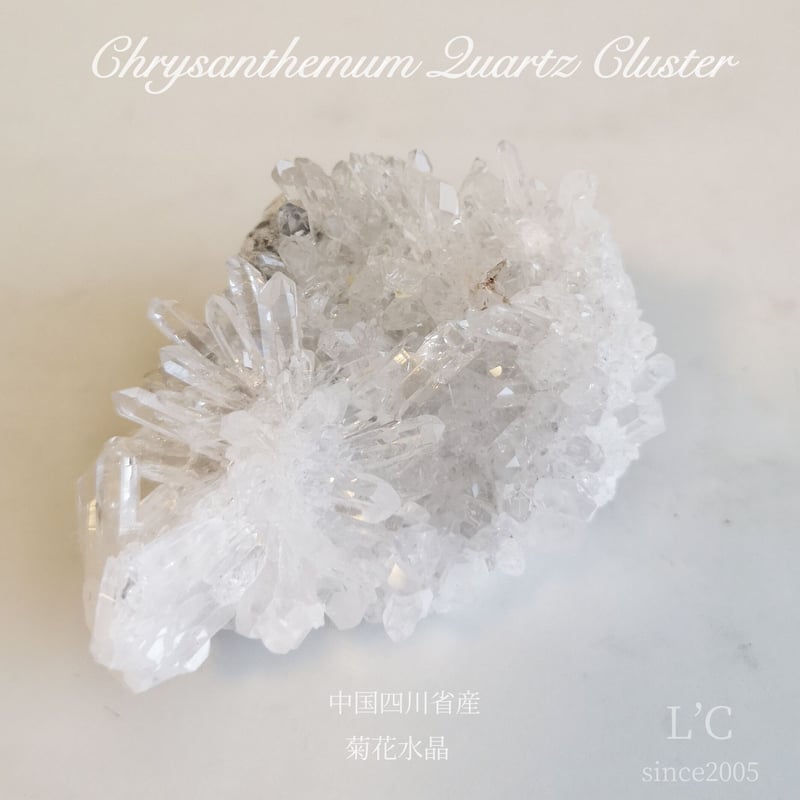 中国四川省産 菊花水晶クラスター② | L'C