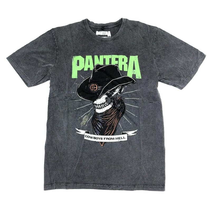 PANTERA パンテラ Tシャツ バンドTシャツ チャコールグレー SKELETON