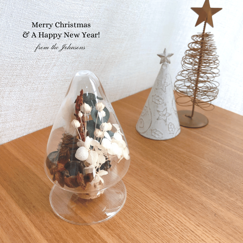 クリスマス△ボトルフラワー シードボトルM | fores.