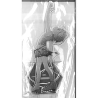 魔法少女まどか☆マギカ ローソンコラボ （アロハ） 缶バッジ 鹿目