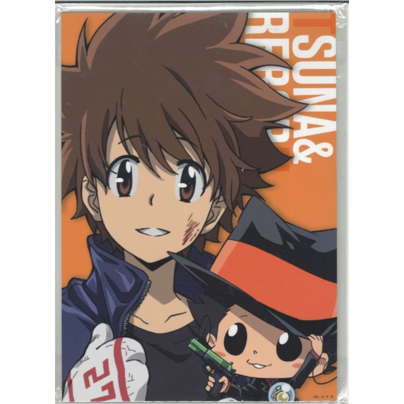 家庭教師ヒットマンREBORN! ひこくじA賞 BIGPOPスタンド 沢田綱吉