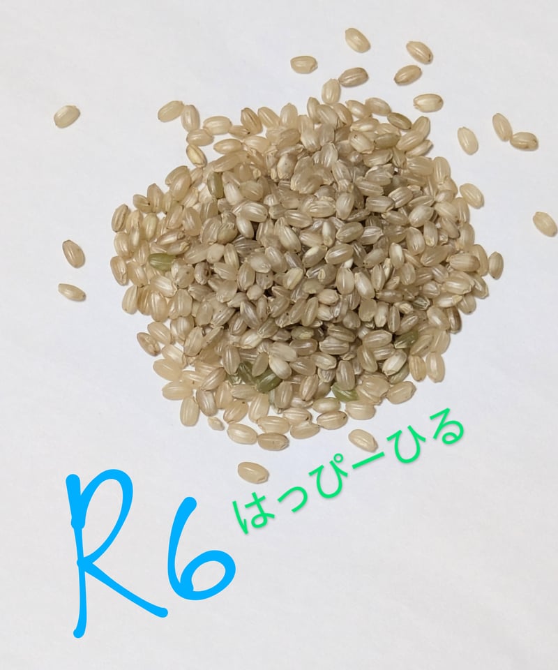 完売御礼】ハッピーヒル種籾（うるち米）（陸稲種籾）【送料含む