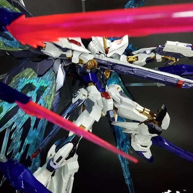 激レア！廃盤 ガンダムSEED DESTINY カスタムデザインガンプラ MG 1