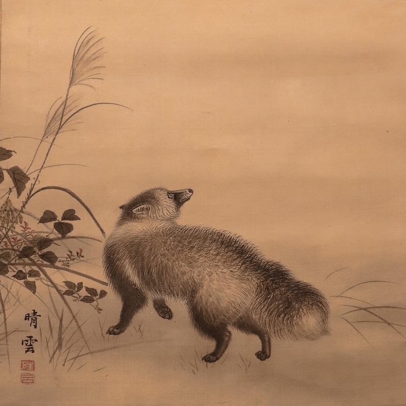 163 江森青雲 「秋夜の狸」絹本 肉筆 森一報の弟子 大阪の画家 動物画