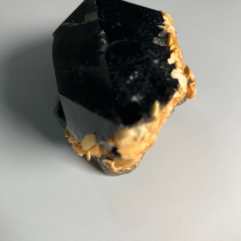 チベット産モリオン | 仲沢商店