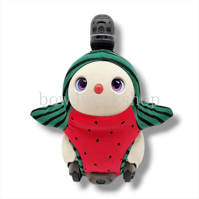 ラボット服/スイカ柄ボディースーツ | bow4workshop STORE