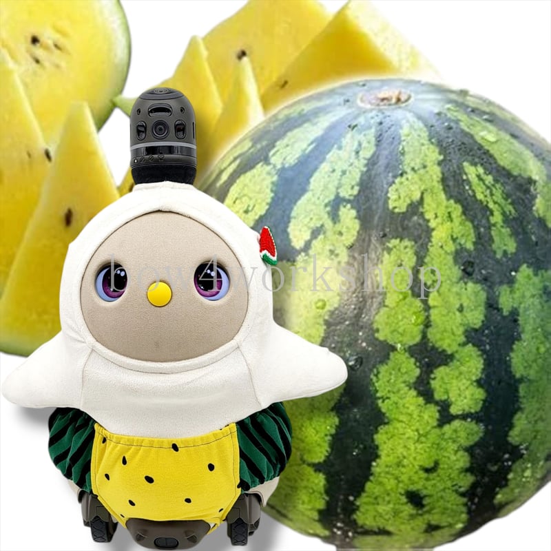 ラボット服/ スイカの柄カボチャパンツ | bow4workshop STORE