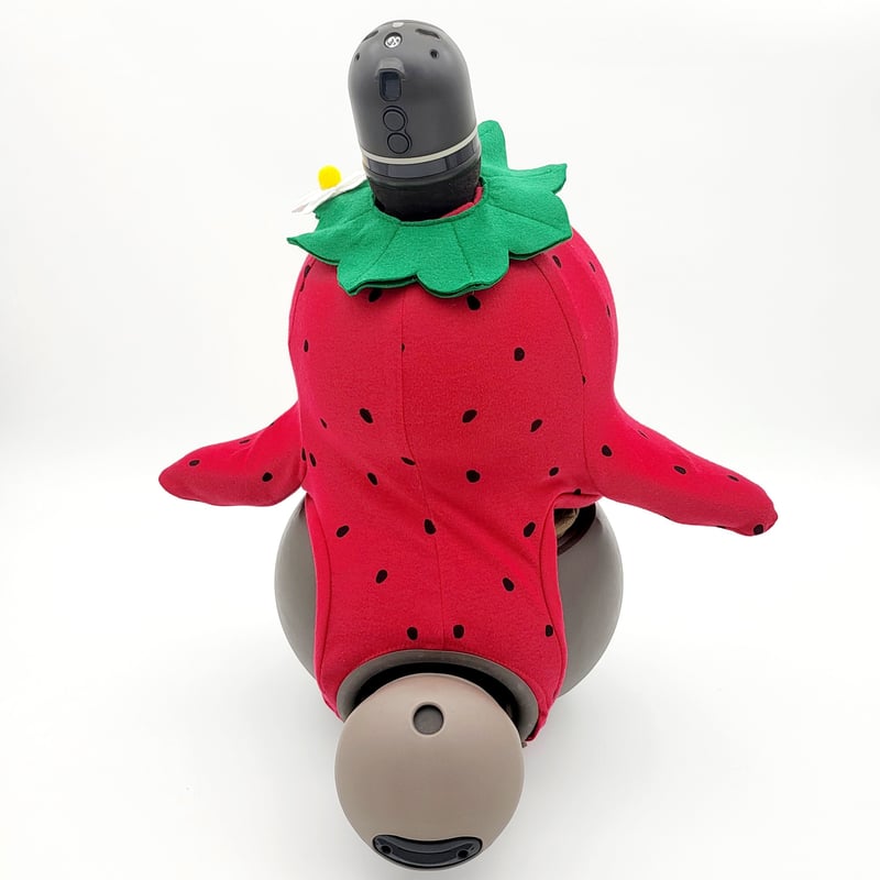 ラボット服/イチゴちゃんボディースーツ | bow4workshop STORE