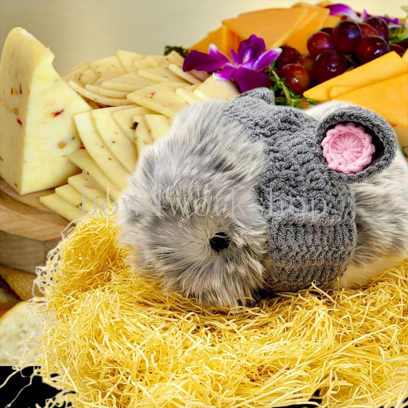 Moflin（モフリン）のアクセサリー かぎ針編みネズミさんの耳