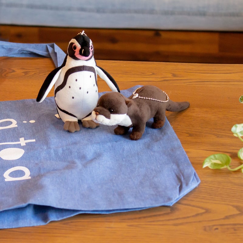 リアルぬいぐるみマスコット カワウソ | átoa MUSEUM SHOP アトア