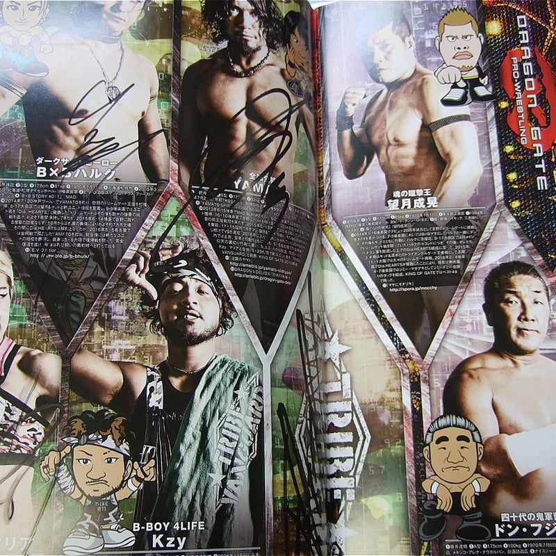 ドラゴンゲートオフィシャルパンフレットVol.49（複数選手直筆サイン
