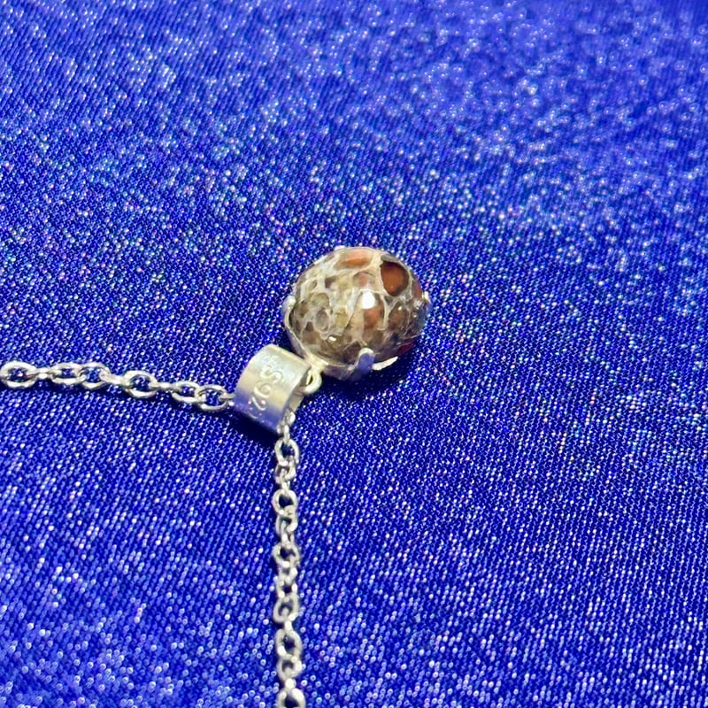 希少宝石】恐竜の骨「ダイナソーボーン」ネックレス | ジュエリー春日