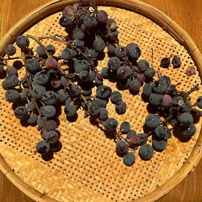 ぶどう染め絵付けハンカチ | チガヤ農作物店