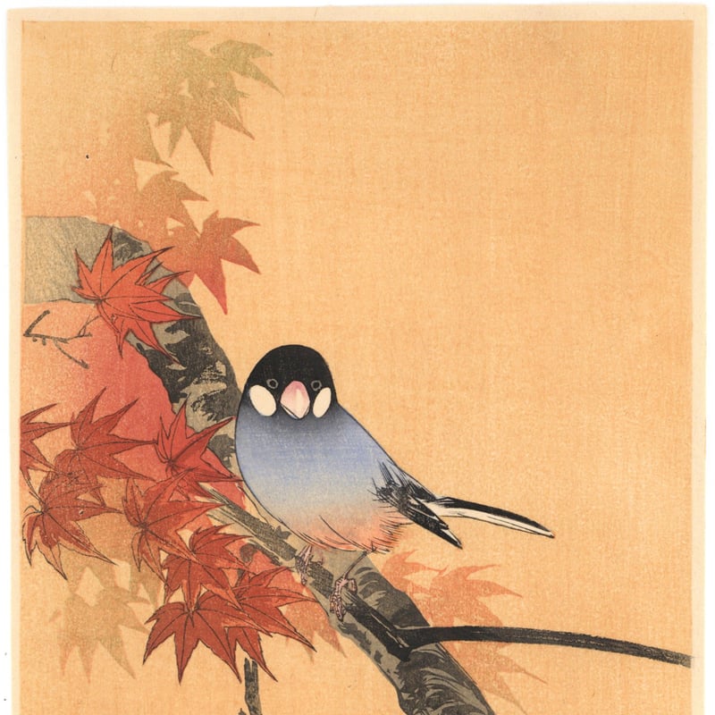 伊藤総山 (紅葉に小禽) | 古美術もりみや