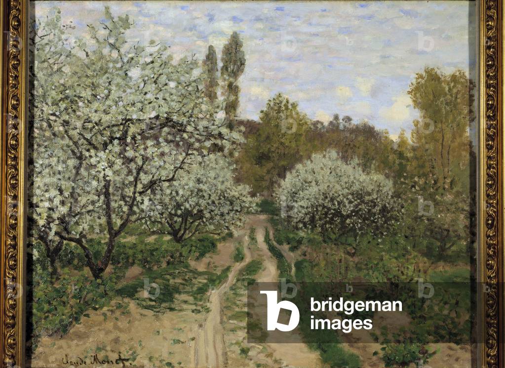 Image of Pommiers en fleurs, 1872 (huile sur toile) by Monet