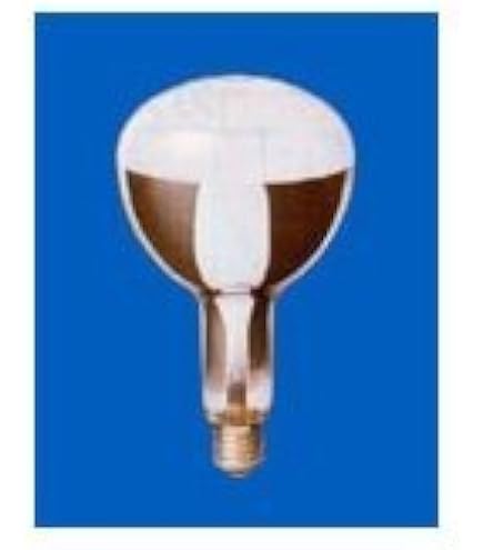 Amazon | 岩崎電気 アイ セルフバラスト水銀ランプ BHRF100/110V160WH