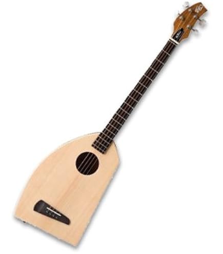 Amazon.co.jp: K.Yairi/ヤイリ 音来/ニライ 一五一会シリーズ : 楽器