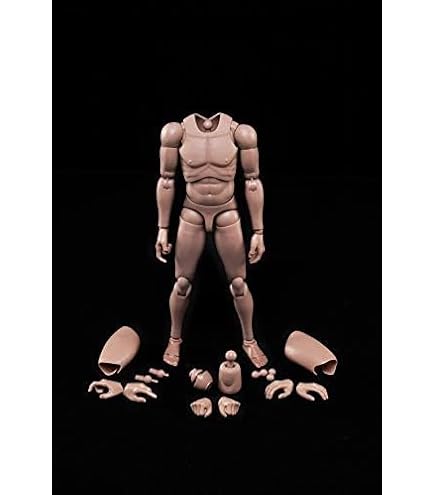 Amazon | 1/6 フィギュア 男性 素体 | フィギュア・ドール 通販