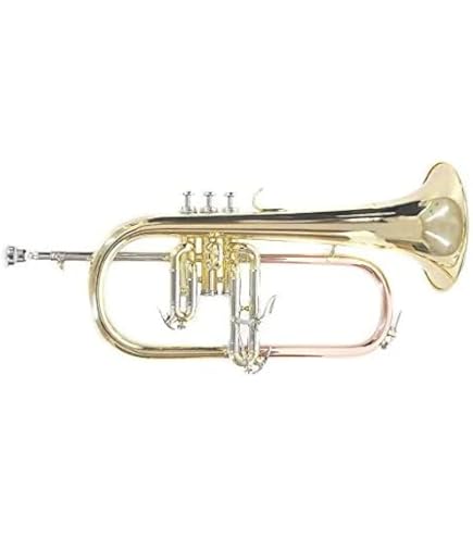 Amazon | Denis Wick DW5884-SFL シルバーメッキ フリューゲルホルン