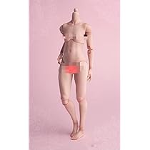 Amazon.co.jp: [Tbmodel] Worldbox 1/6 フィギュア 女性 関節 素体