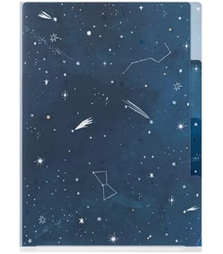 Amazon.co.jp: アナと雪の女王2/3ポケットクリアファイルB IG3188