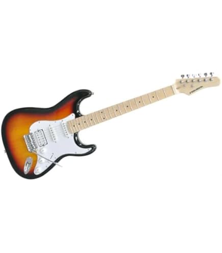 Amazon | 【国内正規品】 PLAYTECH プレイテック エレキギター ST250