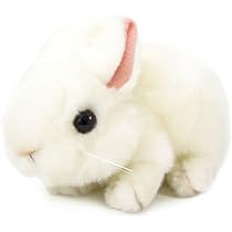 412-VptGO9L._AC_UL210_SR210,