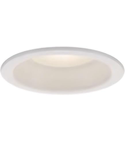 Amazon.co.jp: 大光電機(DAIKO) ダウンライト(軒下兼用) LED 5.2W 温