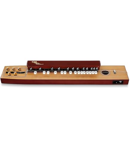 Amazon | SUZUKI スズキ 電気大正琴 こはくバス | 大正琴 | 楽器・音響機器