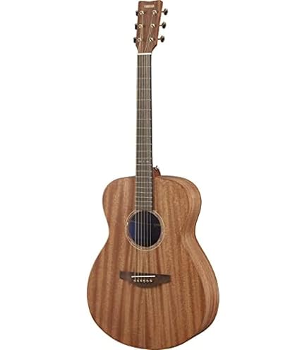 Amazon.co.jp: ARIA アリア アコースティックギター オール単板 TOP