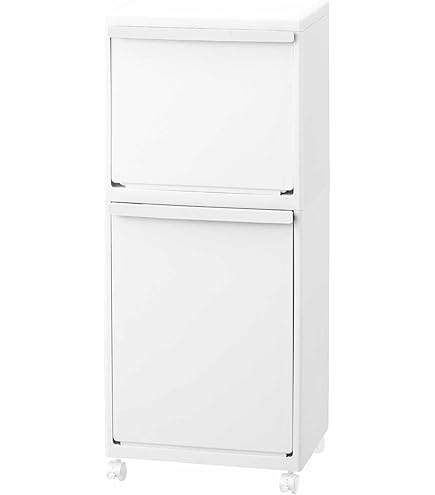 Amazon.co.jp: ダストボックス 2分別タイプ YY-WSB-32 ホワイト