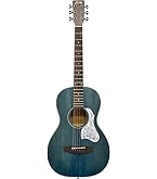 Amazon | S.Yairi ヤイリ E-Acoustic Series エレクトリック