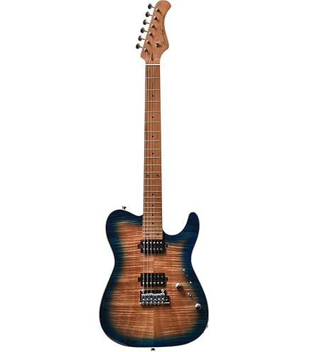 Amazon | Bacchus BTC-1R DLPB エレキギター ダークレイクプラシッド