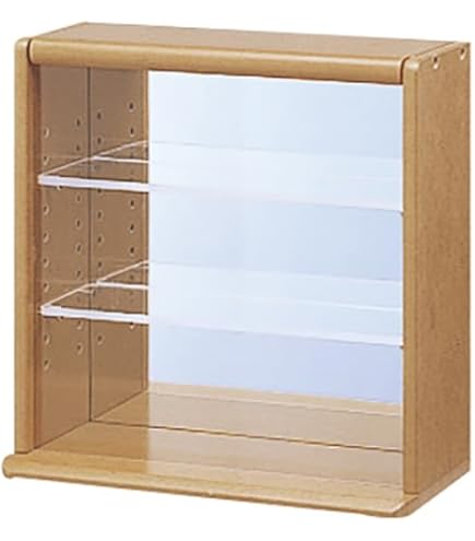 Amazon.co.jp: ナカバヤシ コレクションケース ワイド 透明アクリル棚