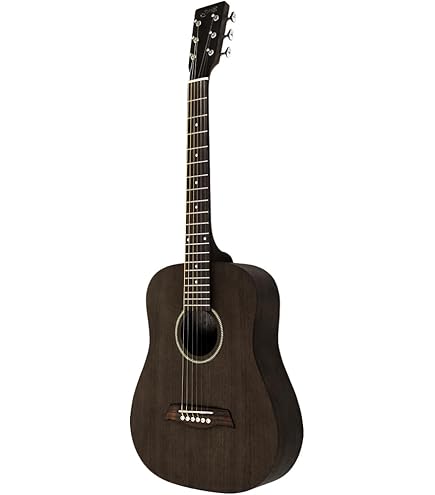 Amazon | HONEY BEE ハニービー アコースティックギター フォーク