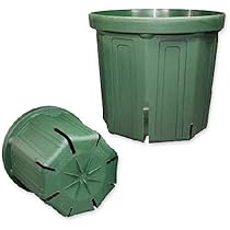 Amazon.co.jp: スリット鉢8号 (CSM-240) 1個 : DIY・工具・ガーデン