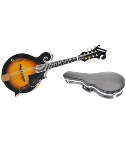 Amazon | 鈴木 マンドラ MD-10 | マンドリン | 楽器・音響機器