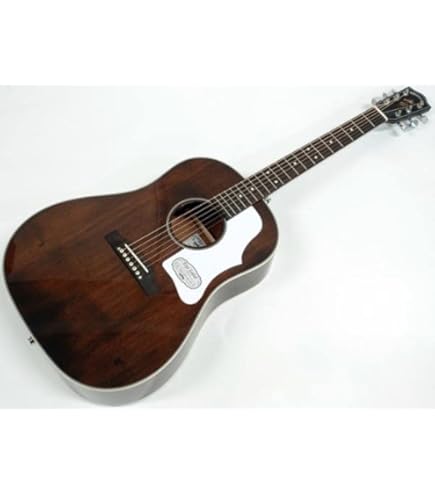 Amazon.co.jp: Headway HJ-BUDDY SB アコースティックギター