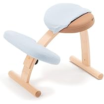 Amazon.co.jp: バランスラボ バランスイージー ショートフレーム 通常