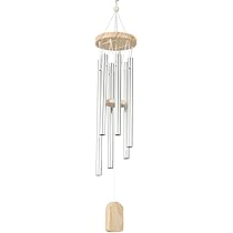 41ppBIAnRyS._AC_UL210_SR210,