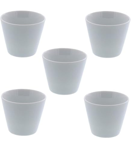 Amazon | リチャードジノリ ベッキオホワイト 湯呑み ペア 2個 | ノー