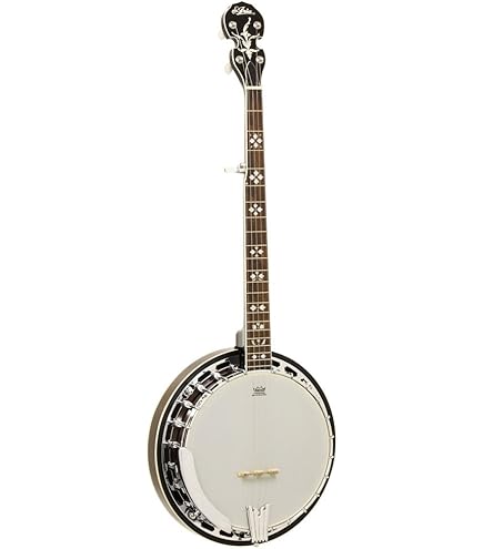 Amazon.co.jp: ARIA アリア 5弦バンジョー REMO Banjo Head SB-10