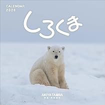 51-bxO243iL._AC_UL210_SR210,